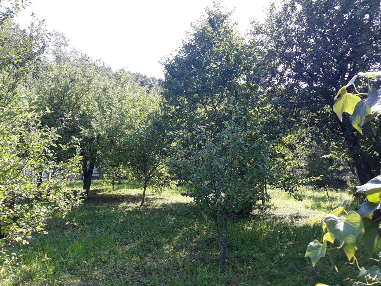 Котедж "Лісовий Затишок" Glubokoye Eksteriør bilde